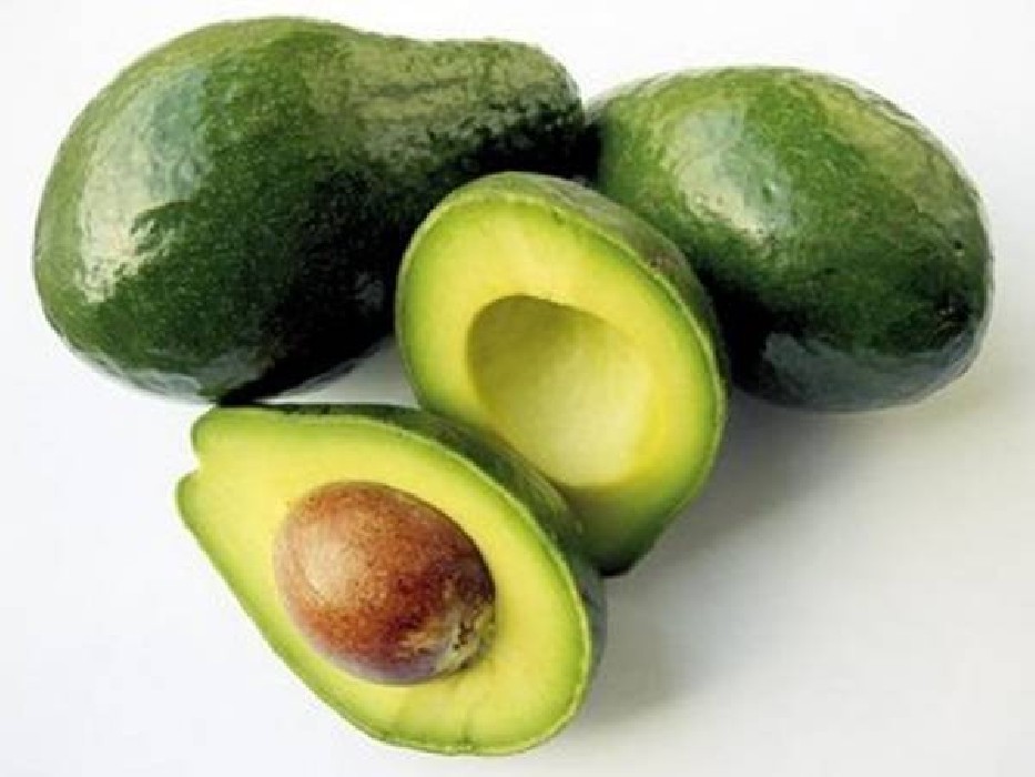 Aguacate C-25
