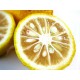 Limonero Yuzu (Citrus Junos) C-20