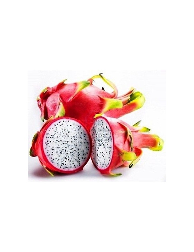 Pitaya.Pitahaya (Hylocereus undatus) C-14