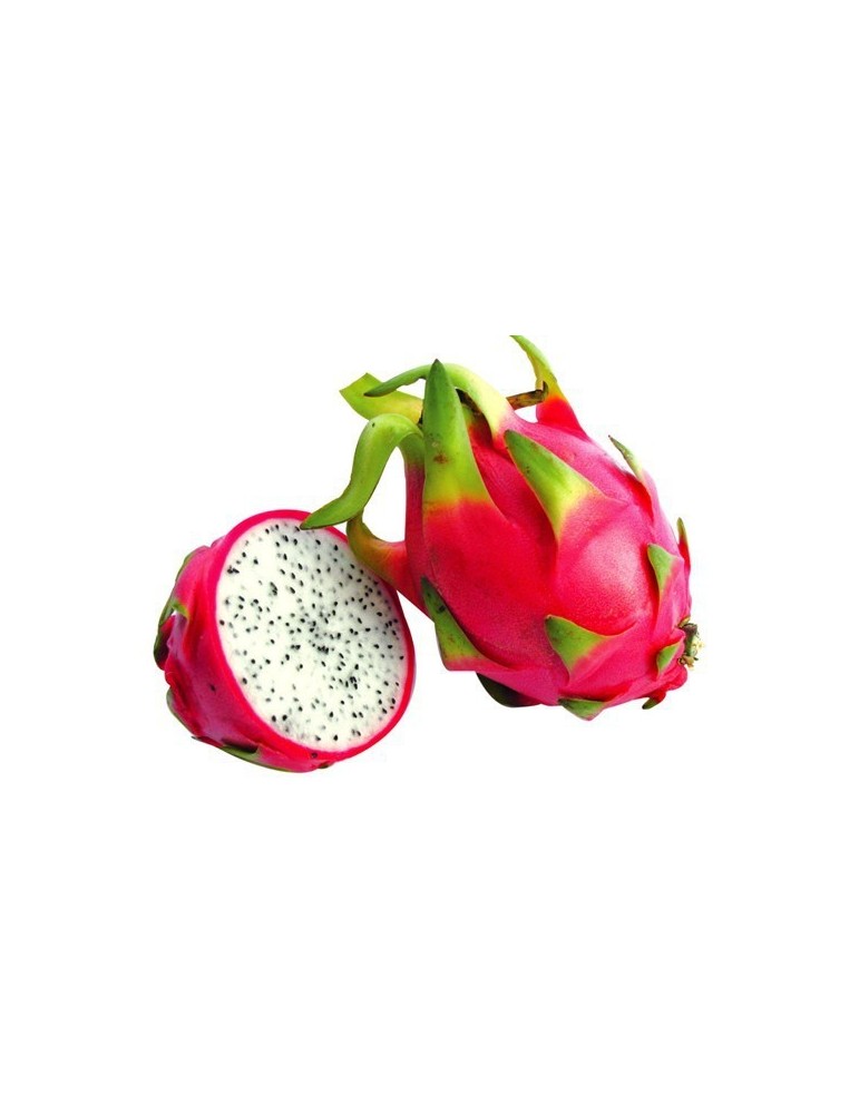 Pitaya.Pitahaya (Hylocereus undatus) C-14