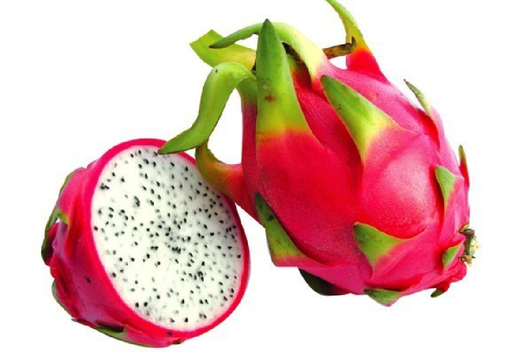 Pitaya.Pitahaya (Hylocereus undatus) C-14