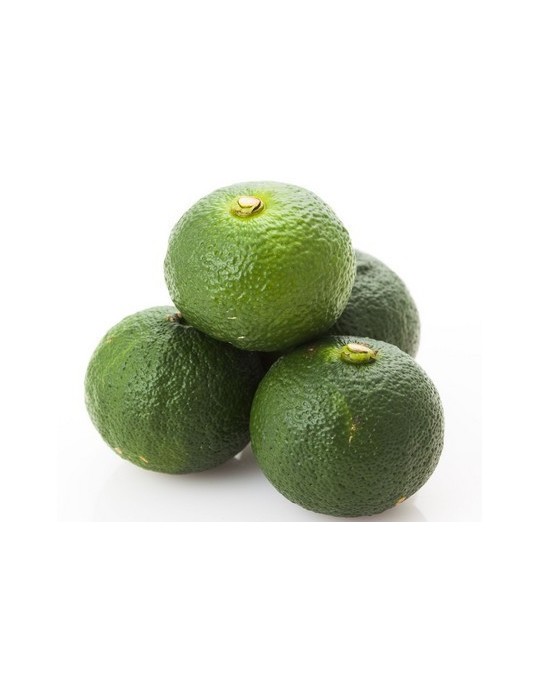 Limonero Yuzu (Citrus Junos) C-25