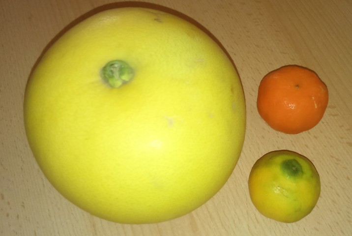 Pumelo.Pummelo.Citrus Maxima C-25 2