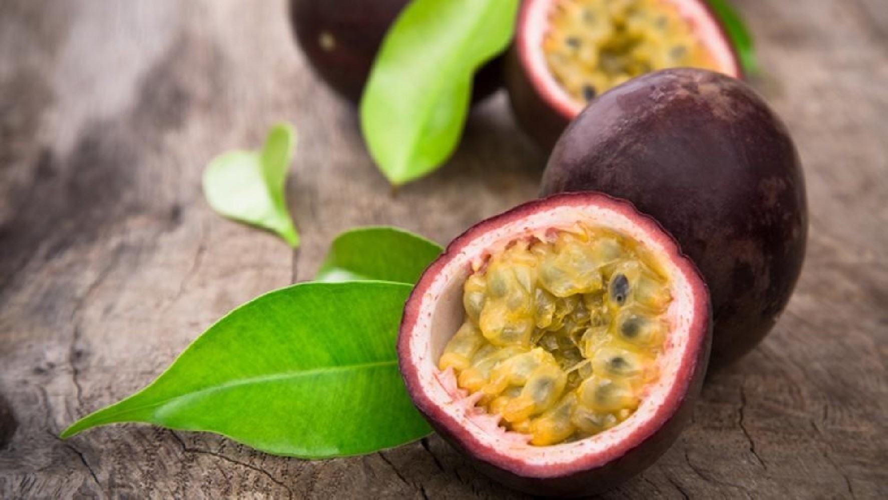 Maracuya.Passiflora edulis C-22 (100/120)