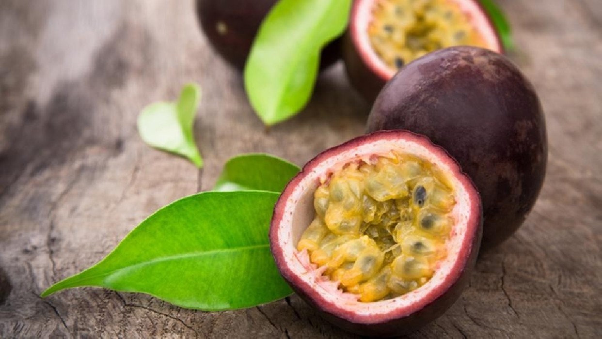 Maracuya.Passiflora edulis C-22 (100/120)