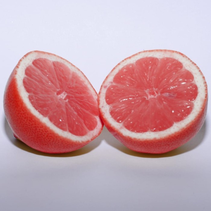 Limonero.Citrus limon. C-25 (100/130)