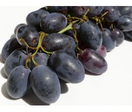 Parra de uva de mesa.Vitis Vinifera. C-17a(sin pepitas)